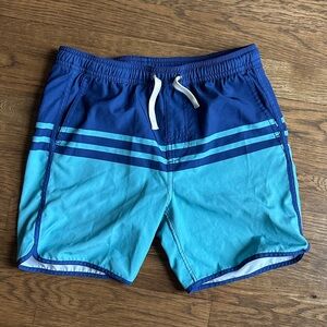 Blue Striped boys Swim Shorts